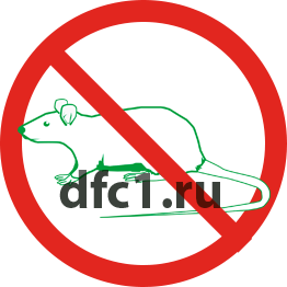 Уничтожение крыс в Сочи
